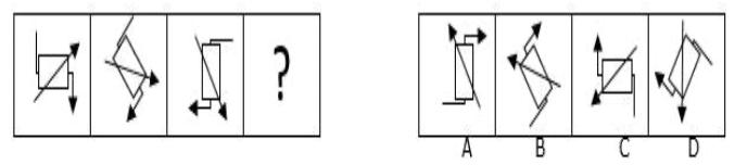 question number 146